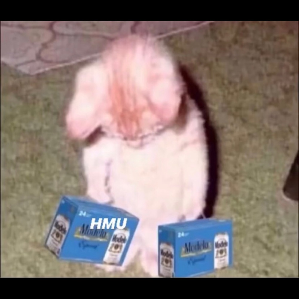 Meet your Posher, Jesse